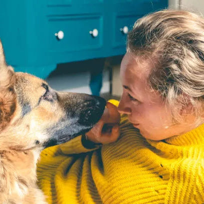 files/vintage-retro-photo-of-relaxing-woman-with-her-german-shepherd.webp